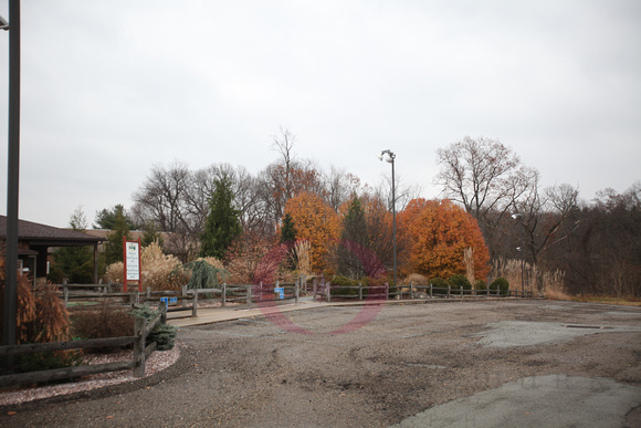 Abadoned mini golf - a few trees still have leaves